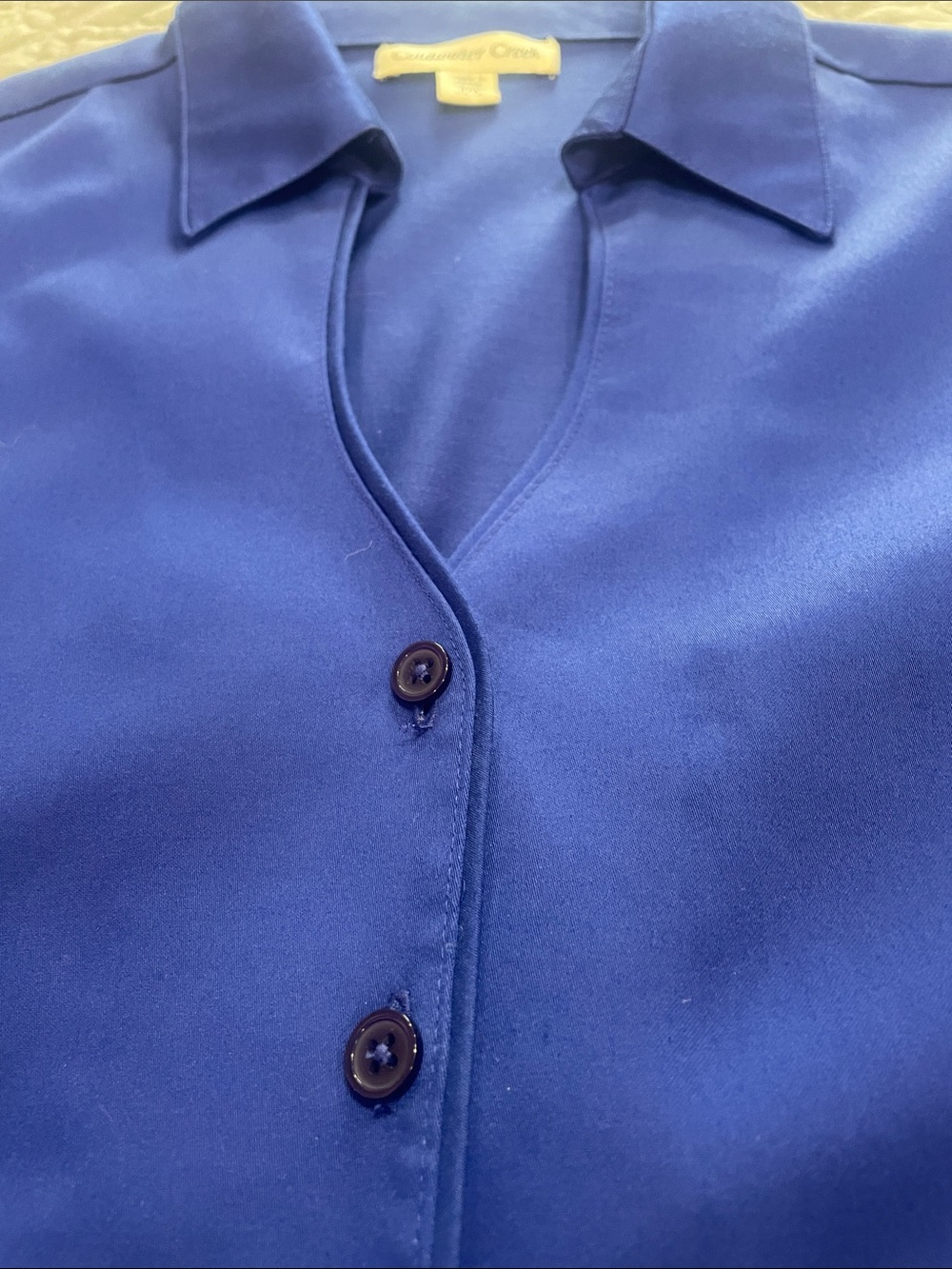 Coldwater Creek Blue Button-Up Blouse PM